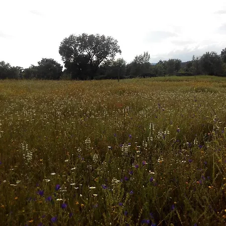 Vakantiehuis La Fragua Lanzahita