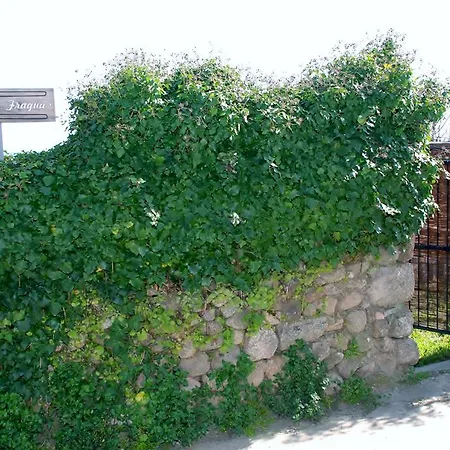 La Fragua