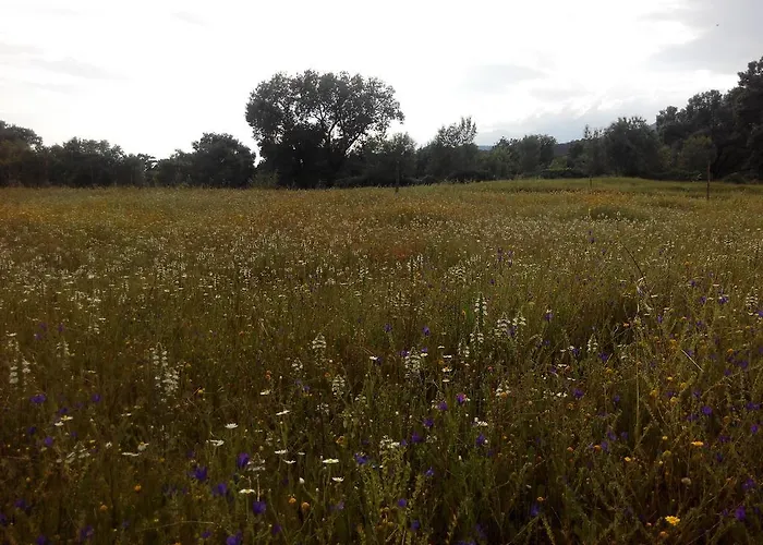 Hébergement de vacances La Fragua Lanzahita